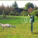 KCM-Outdoor large animal repeller Underground garage repeller cats and dogs cat-dog repellent Ultrasonic rat repeller